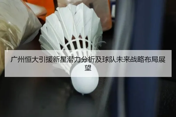 广州恒大引援新星潜力分析及球队未来战略布局展望