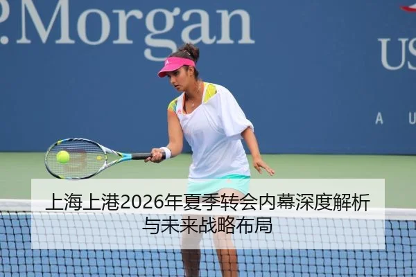 上海上港2026年夏季转会内幕深度解析与未来战略布局