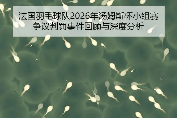 法国羽毛球队2026年汤姆斯杯小组赛争议判罚事件回顾与深度分析